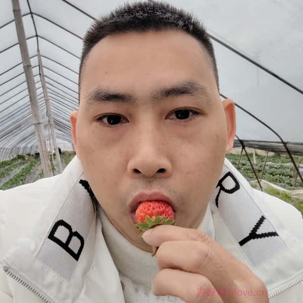 保山征婚网